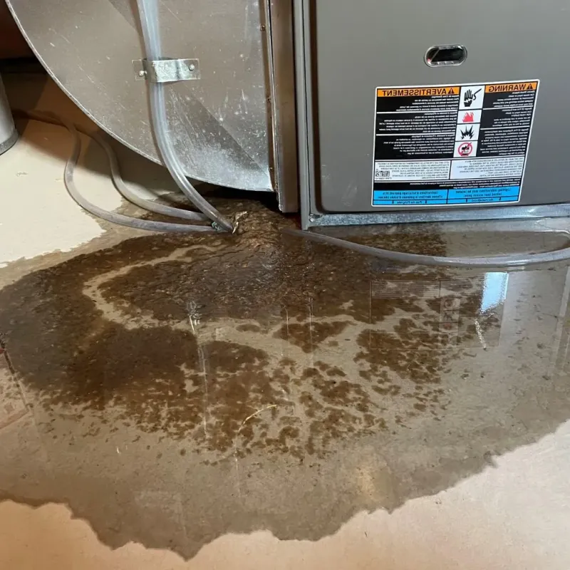 Pipe Burst and Leak Restoration in Hawkinsville, GA